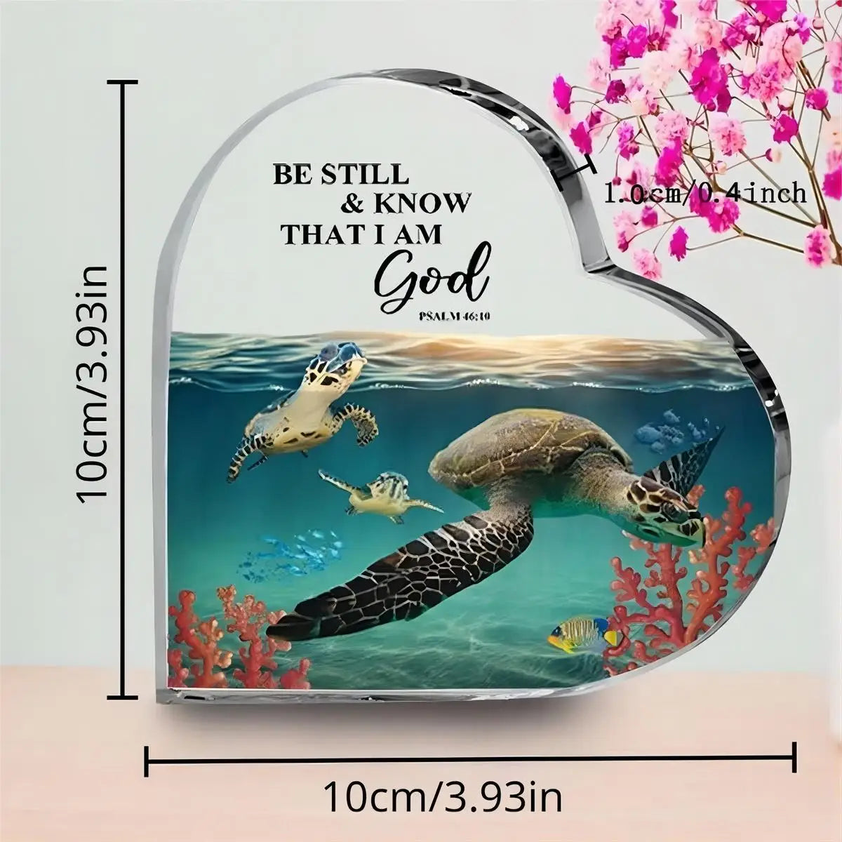 Turtle Acrylic Plaque